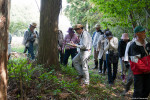 春の山野草を観察する参加者