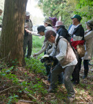 春の山野草を観察する参加者